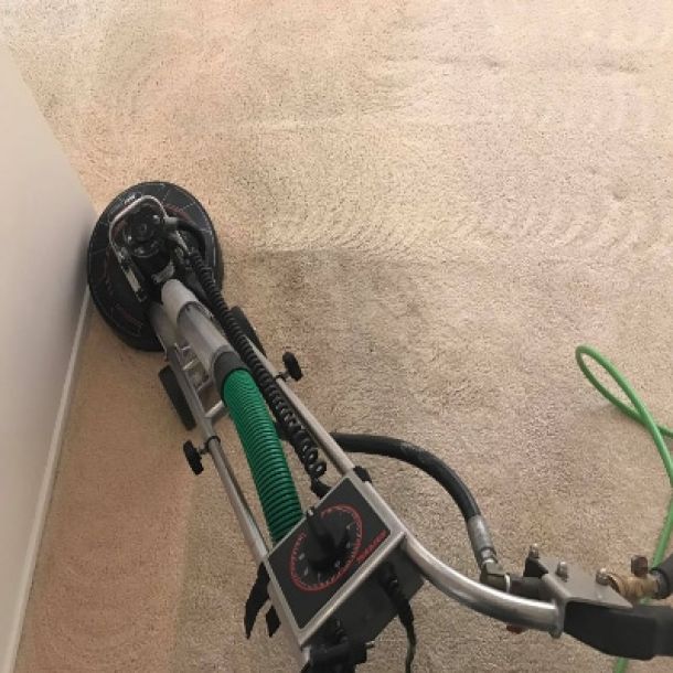 carpet cleaning results