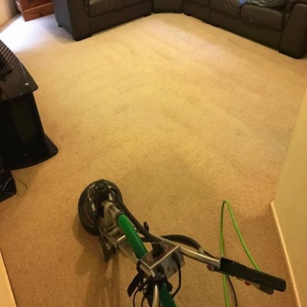 carpet cleaning results