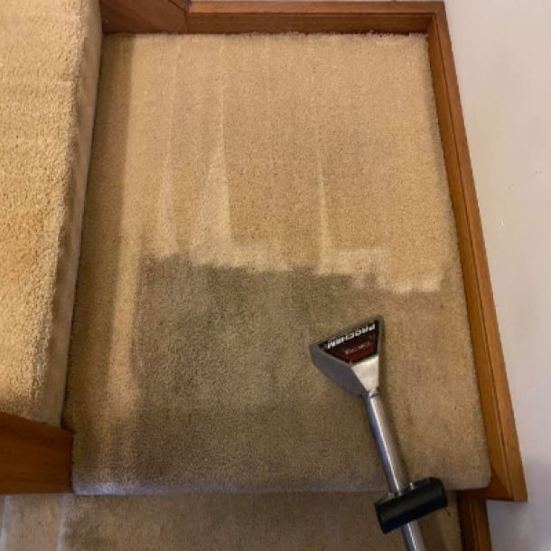 carpet cleaning results