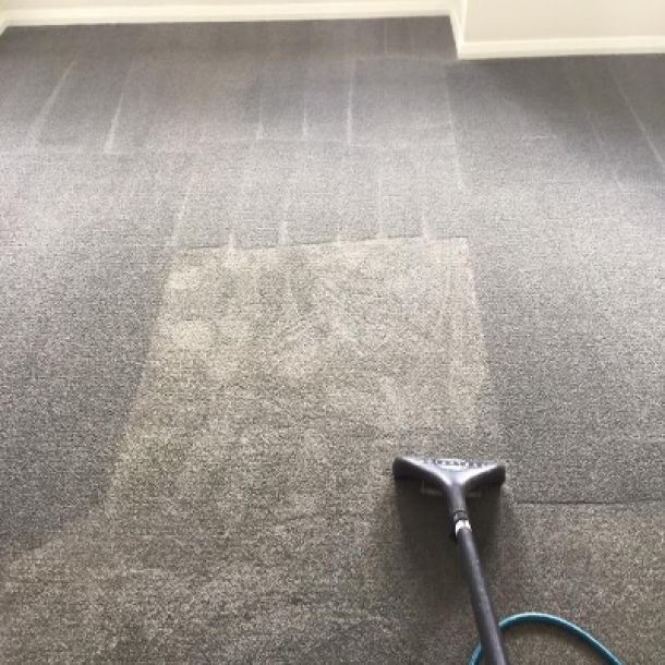 carpet cleaning results