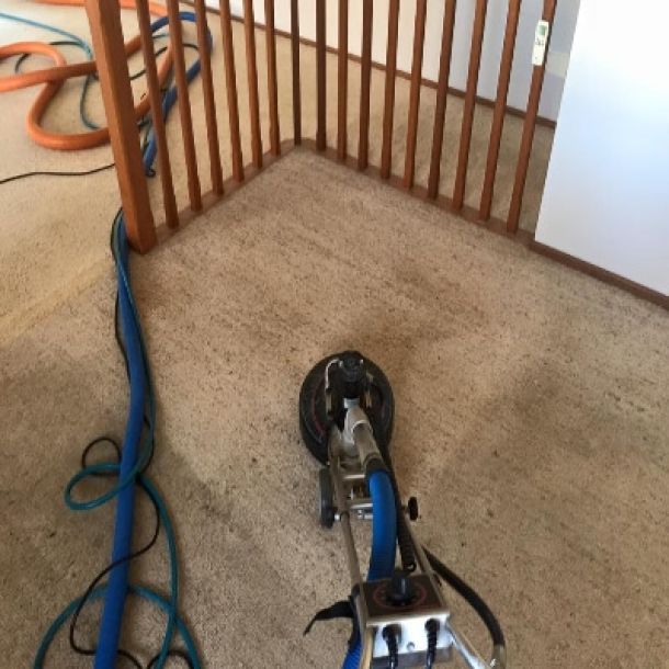 carpet cleaning results
