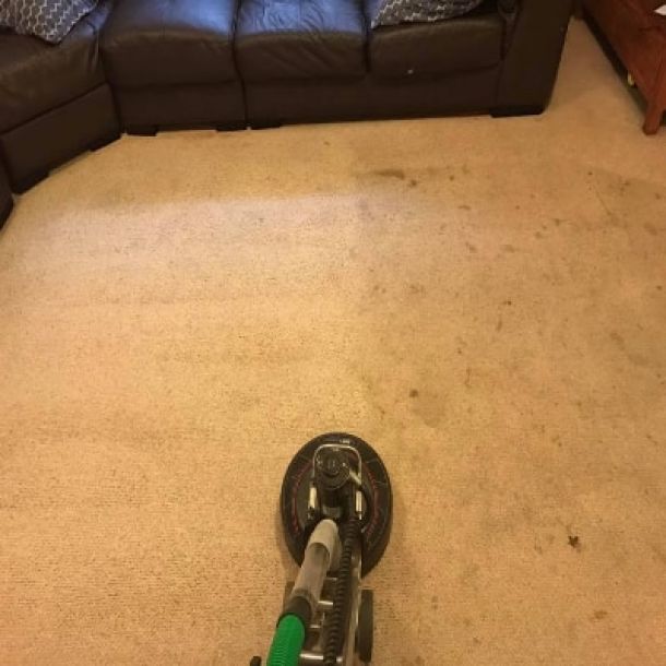 carpet cleaning results