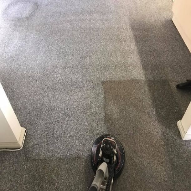 carpet cleaning results