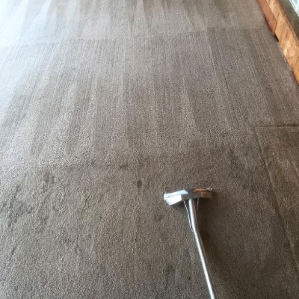 carpet cleaning results