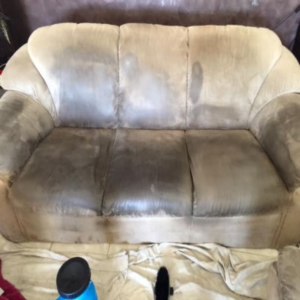 upholstery cleaning results