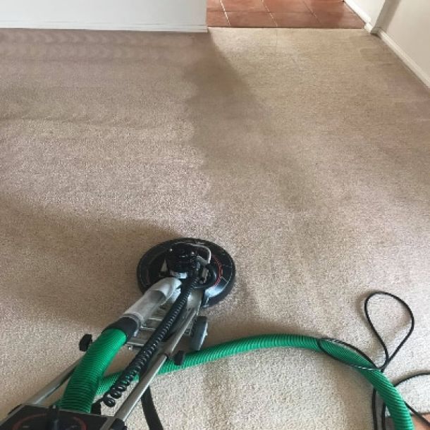 carpet cleaning results